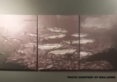 canvas print salmon